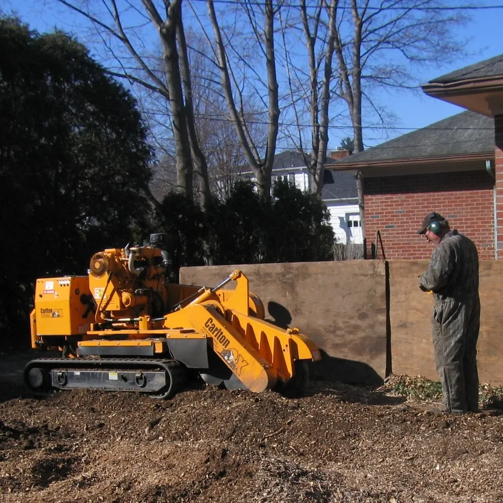 Stump grinder removing a tree stump below grade beside a home